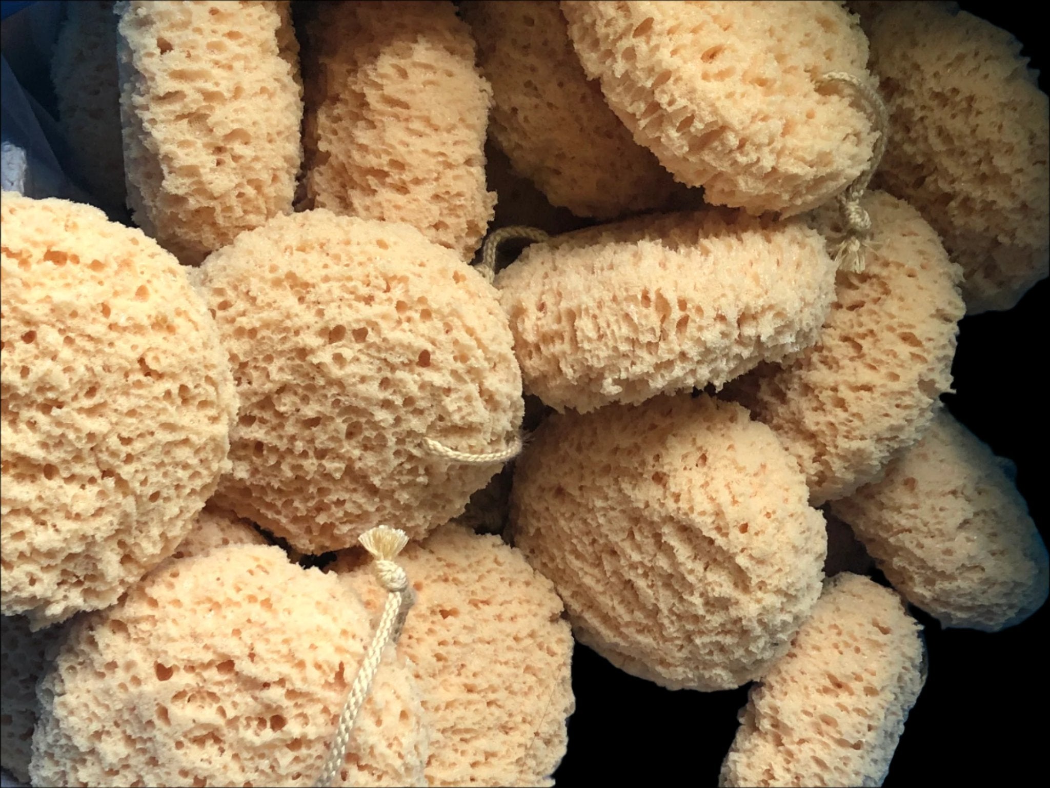 Sponge String Bath Sponge With String – The Southern Bee Soap House